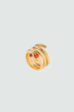 Anello Serpente Indice